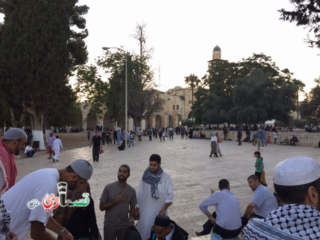 كفرقاسم : شباب كفرقاسم في رحاب المسجد الاقصى في العشر الاواخر من شهر رمضان المبارك 